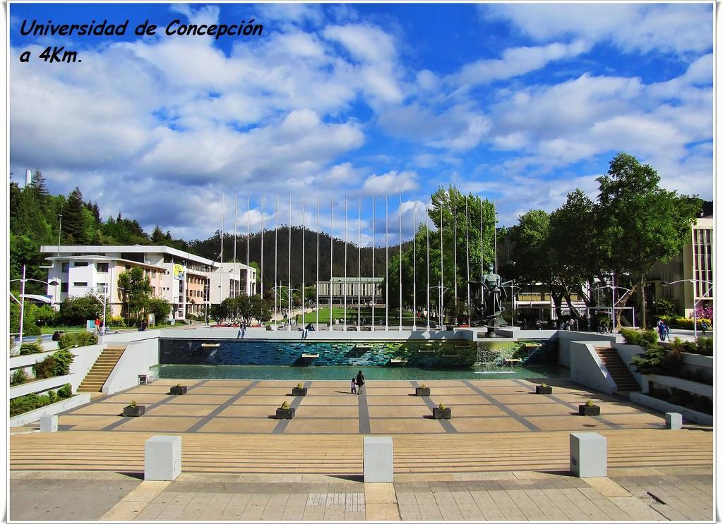 Casa San Valentin Hotel Concepcion Bagian luar foto